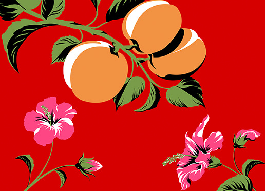 Catriona Tod's illustration for Boe Gin Peach and Hibiscus Gin Liqueur